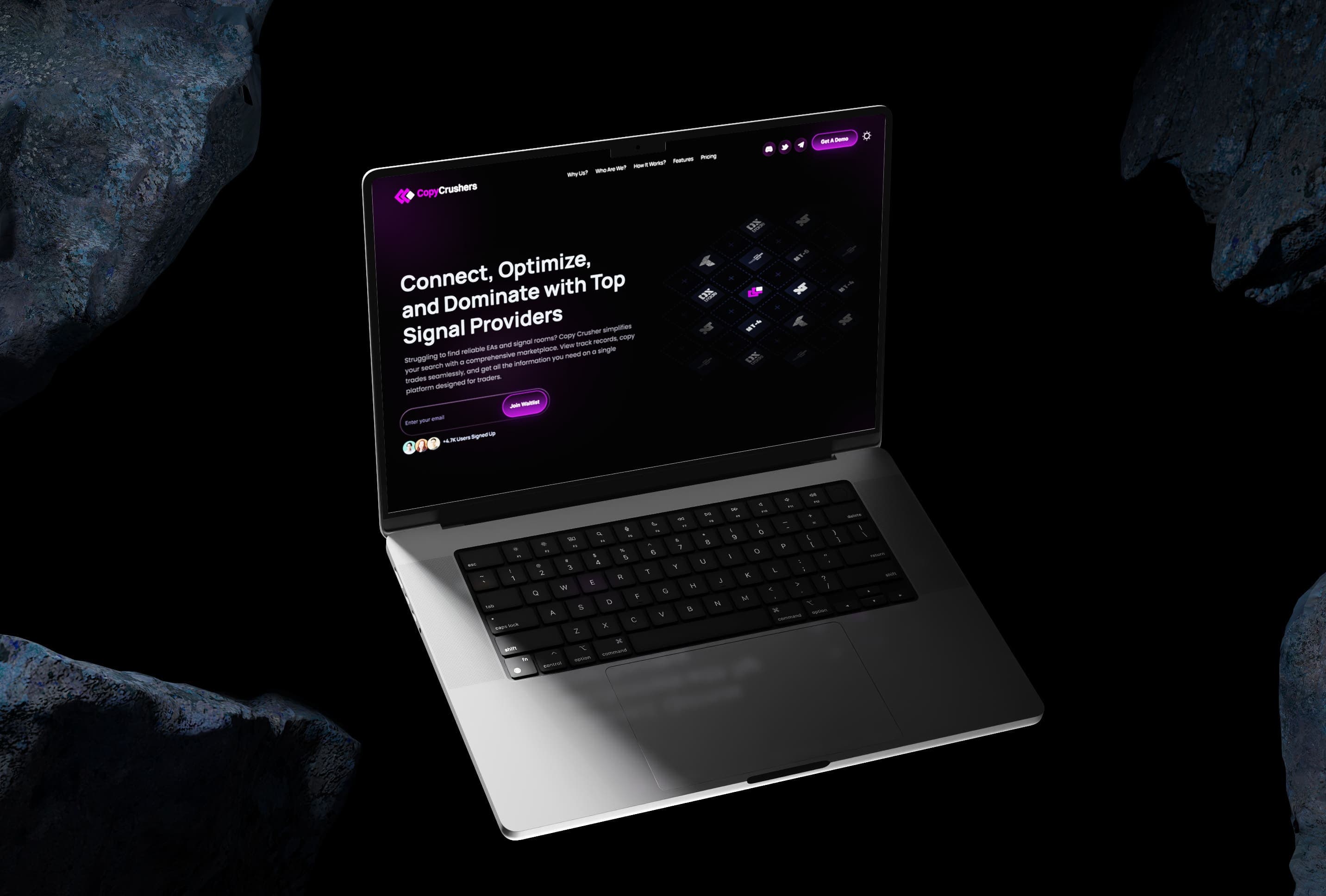 Web Design & Development